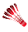 top-title-logo